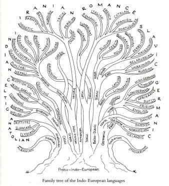 Talenfamilies afgebeeld als een boom