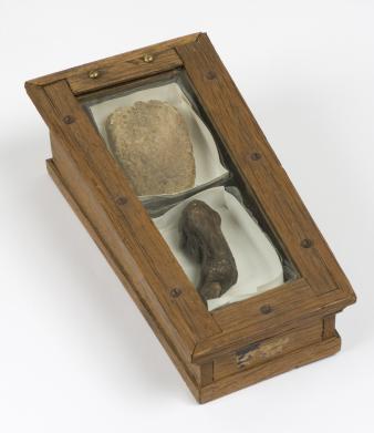 In het Haags Historisch Museum worden de tong van Johan de Witt en de teen van zijn broer Cornelis bewaard. 